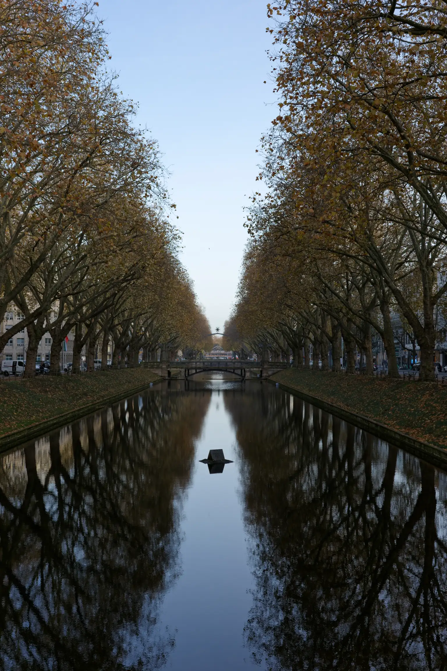 Bilde av elven som renner gjennom Düsseldorf en morgen. Himmelen er blå og trærne bare, og himmelen speiler seg i den klare elven.