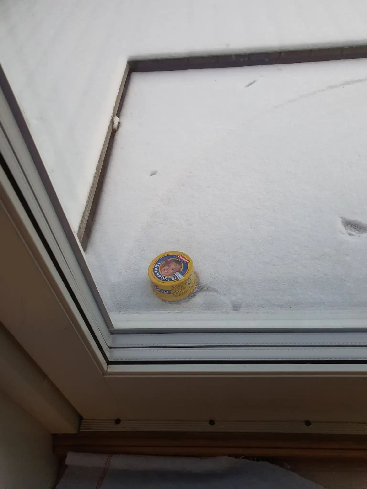 Bilde ut mot en snødekt veranda, der en tom leverposteiboks ligger i snøen. Snøen er med unntak av denne boksen uforstyrret.