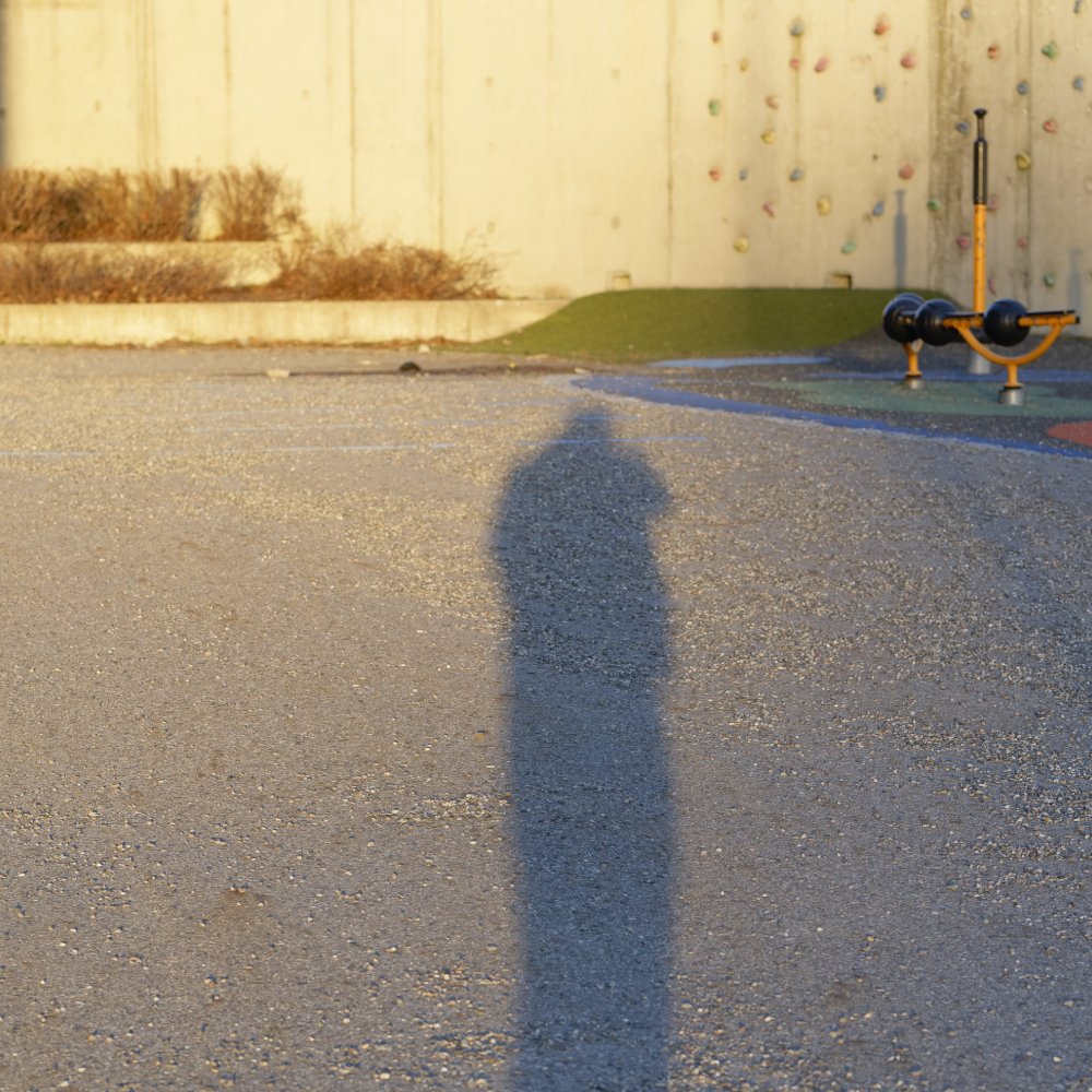 Jeg liker å ta bilder av skyggen min når jeg tar profilbilder. Her har jeg tatt bilde av en lang skygge i kveldssolen en tidlig vårkveld, der jeg står foran lekeapparatene på barneskolen i nabolaget. Lyset er deilig varmt og man kan skimte en klatrevegg og en dumphuske i bakgrunnen. Noen tørre busker står plantet mot betongveggen som fungerer som bakgrunn for hele bildet.